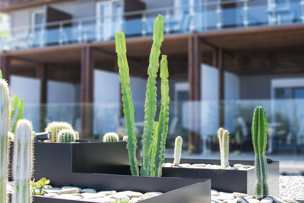 Ionian Eye Design Studios & Spa Μεσογγή Εξωτερικό φωτογραφία