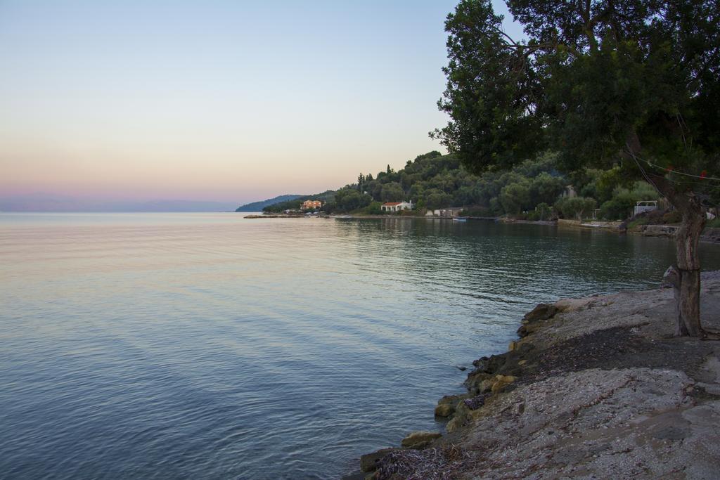 Ionian Eye Design Studios & Spa Μεσογγή Εξωτερικό φωτογραφία